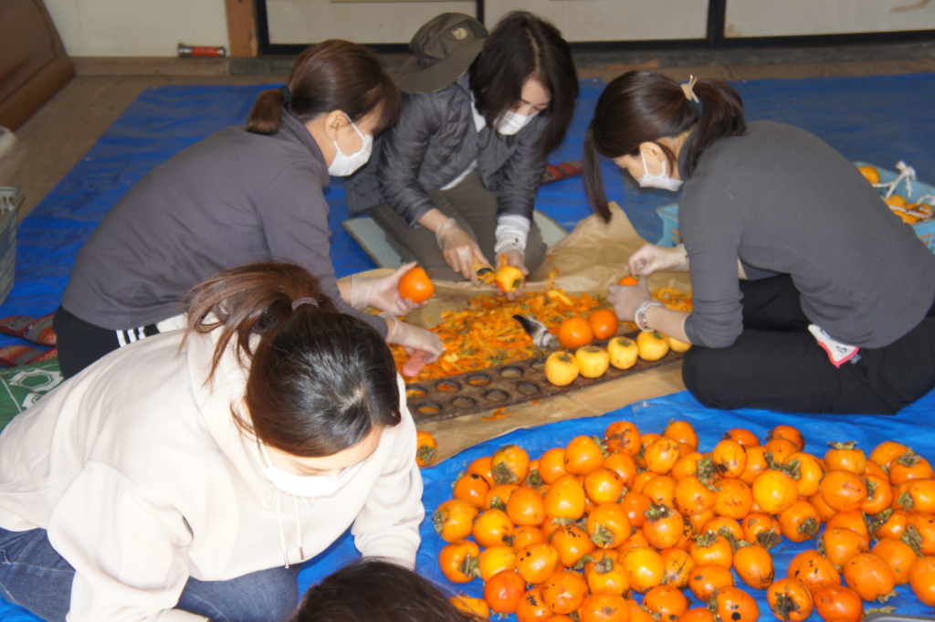 あんぽ柿の干し柿は丸森町の特産品。毎年１１月に収穫する。今回の研修では柿を干し柿に加工する作業を行った。