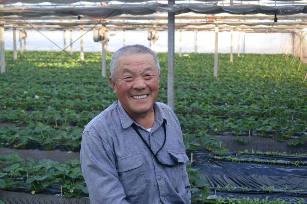 松本満男さんと松本さん所有のイチゴ畑
