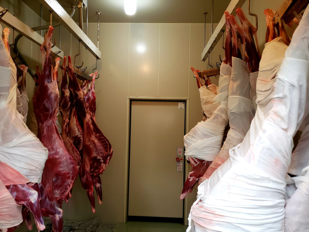 食肉処理施設内の熟成庫に保存されている鹿の肉