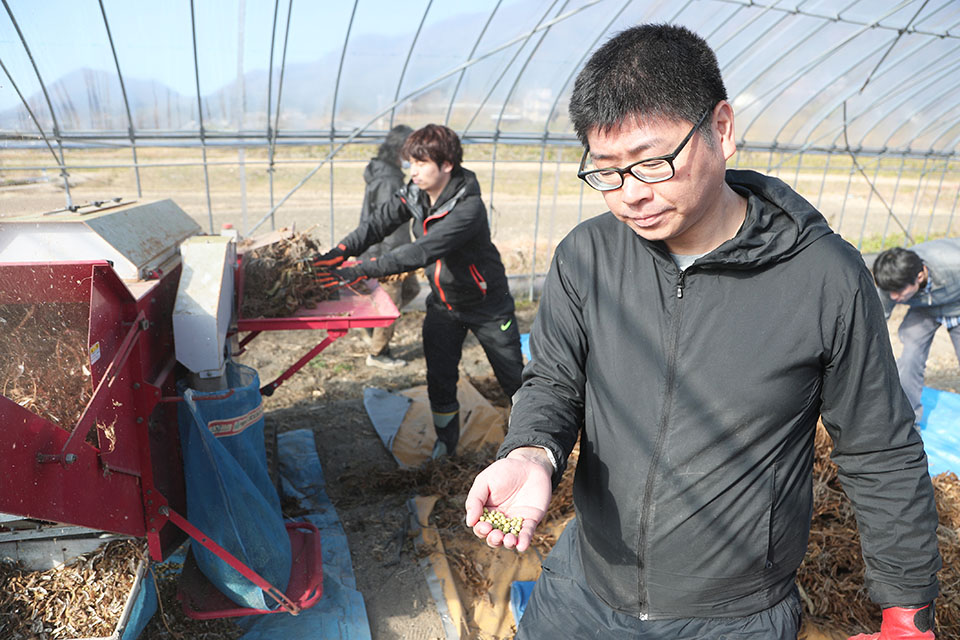 参加者は収穫した大豆を農業機械で脱穀した
