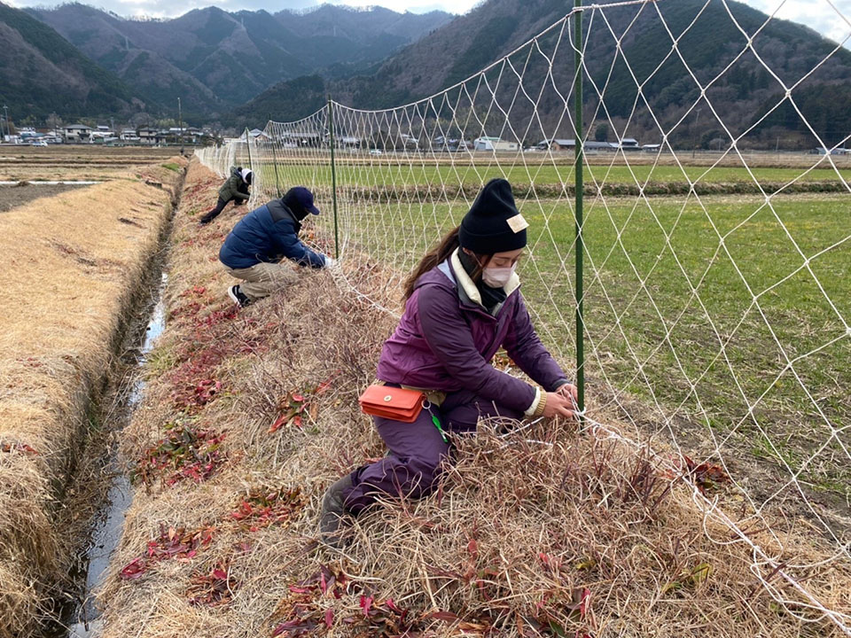 波多瀬地区で獣害の網を取り付ける作業をする参加者