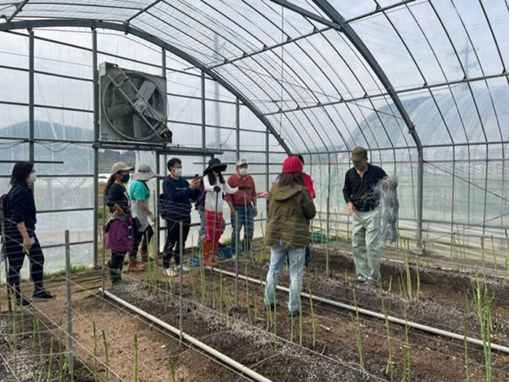 ハウス農家で野菜の植え付けの説明を受ける研修参加者（日本航空提供）