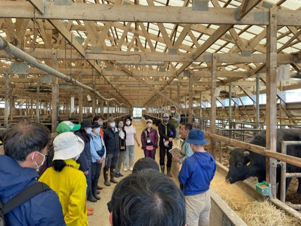 畜産農家の牛舎で説明を受ける研修参加者（日本航空提供）