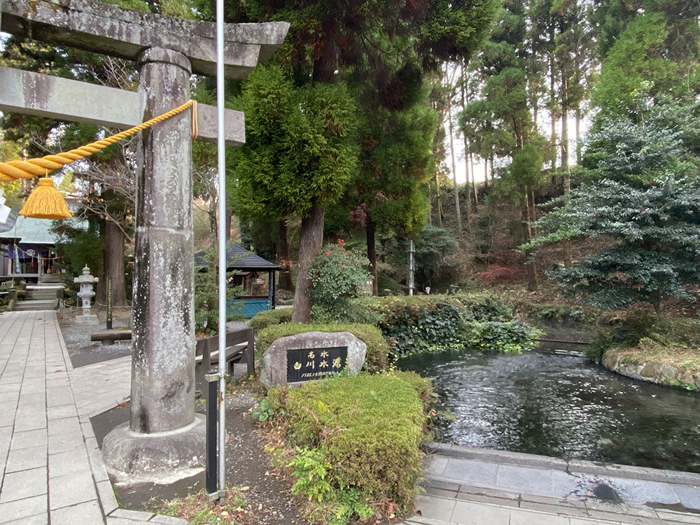 日本名水百選のひとつ「白川水源」。