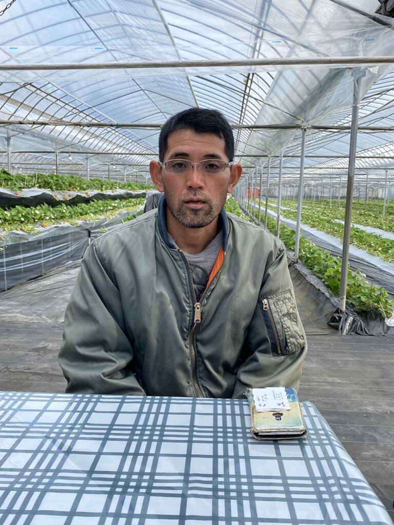栽培するイチゴ畑を背にインタビューを受ける南阿蘇ふれあい農園の田尻代表。