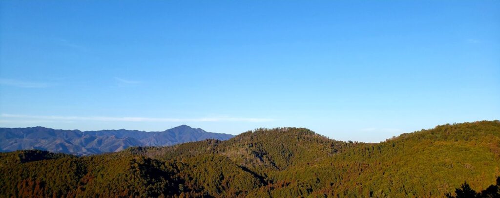 世界遺産の金峯山寺仁王門から眺める吉野町の山林