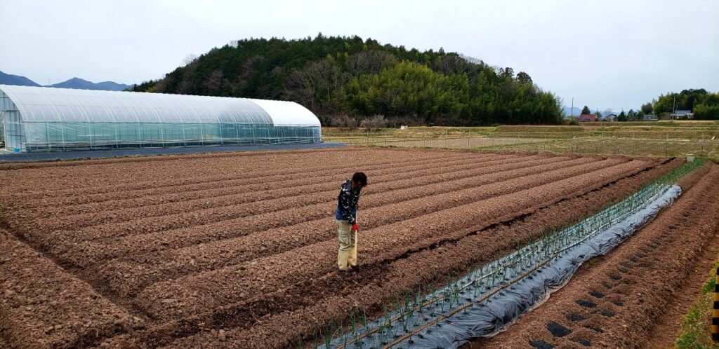 プロボノワーカーが実地の農作業体験を行う畑