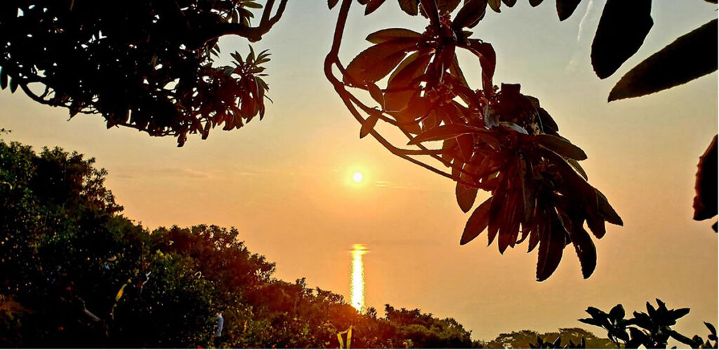 三豊市のミカン収穫の研修地から豊予海峡に沈む夕日を眺める