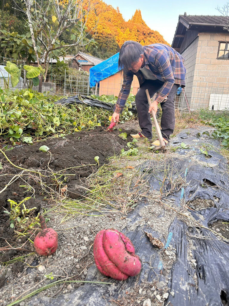 厳木町の住民宅で野菜の収穫作業をする加藤さん（加藤さん提供）